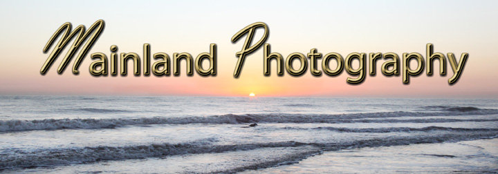 Mainland Photogrphy header